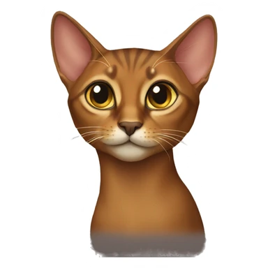 Abyssinian cat sticker