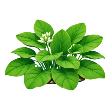Water Hyacinth sticker