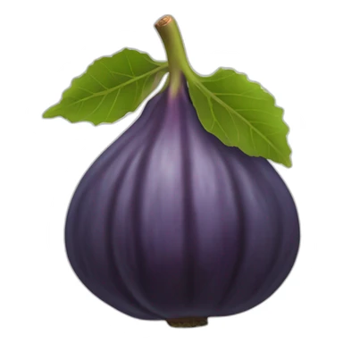 fig fruit sticker
