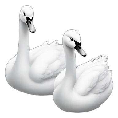 Dos cisnes blanco y negro sticker