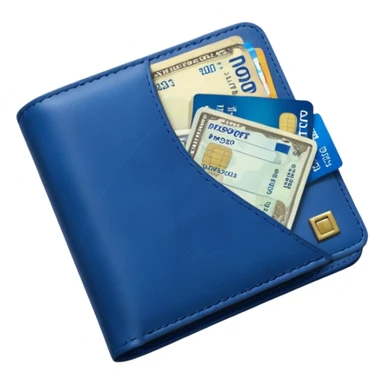 Travel lue wallet – larger, holds passport and tickets.
 sticker