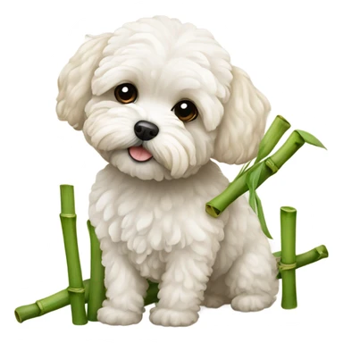 Maltipoo with bamboo sticker