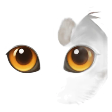 Cat white and orange with one eye blue and other eye brown sticker