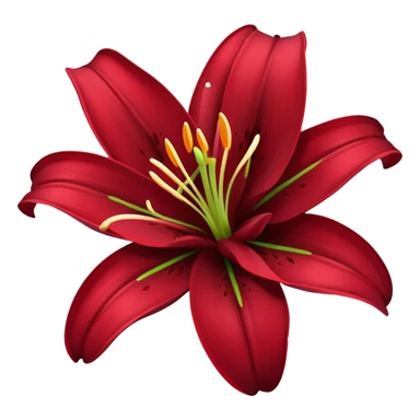 A lily flower in a dark cherry red colour sticker