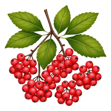 Red viburnum sticker