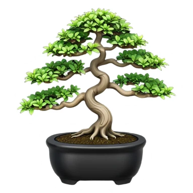 Bonsai Tree – Miniature tree in small pot, trimmed carefully, black pot sticker