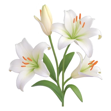 white lily flower, 3D realistic style, subtle highlights sticker