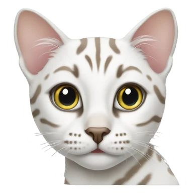 White bengal cat sticker