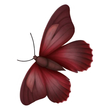 Burgundy colored moth ￼ sticker