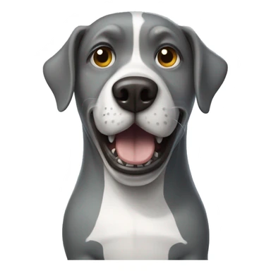 Dog in shark costume sticker