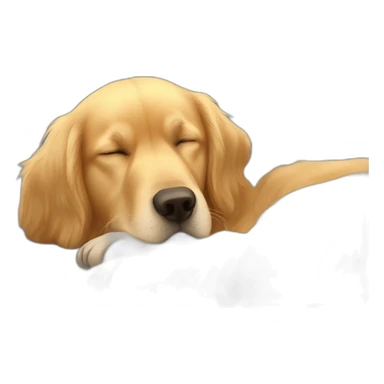 Golden retriever sleep with male owner sticker
