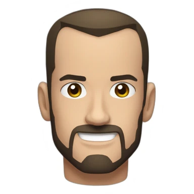 Wwwe cm punk sticker