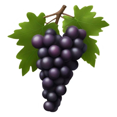 Burgundy grapes black and wight sticker