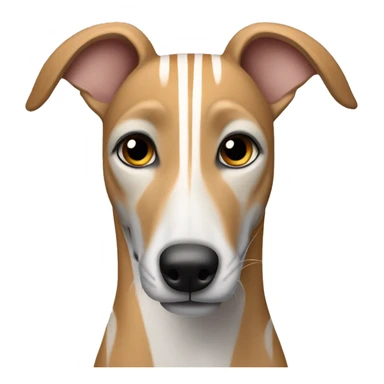 fawn tiger greyhound with grey stripe on its face sticker