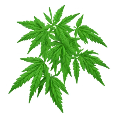marijuana plant sticker