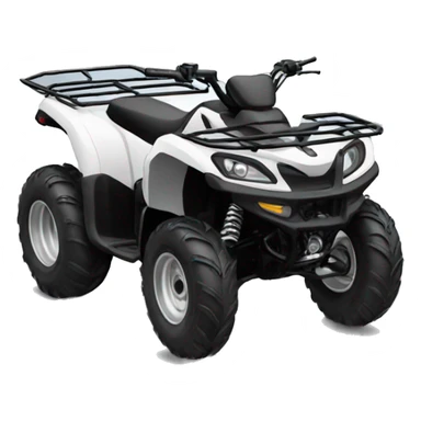 quad bike sticker