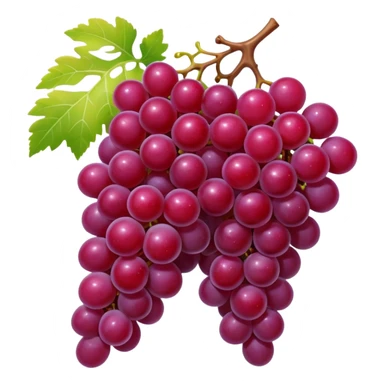 Fruit Red anggur sticker