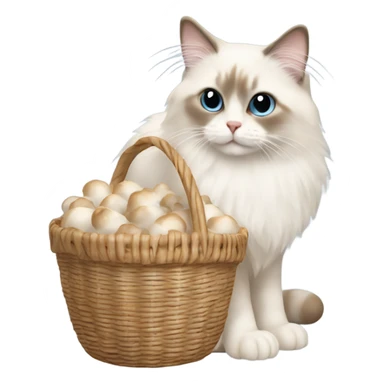 Beige Ragdoll cat carrying a basket of white mushrooms  sticker