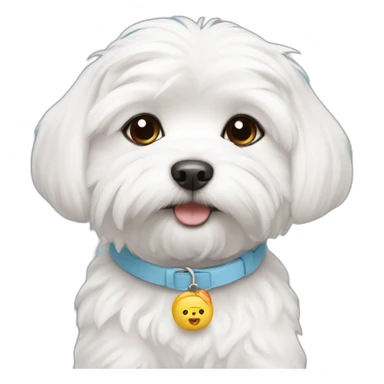 maltese puppy with collar that says Kimchi sticker