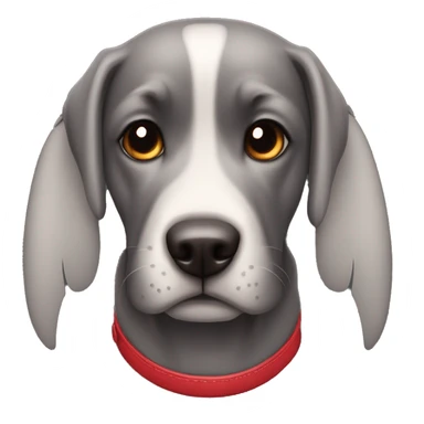 black dog, big jowls, sad puppy eyes, angel wings, red collar sticker