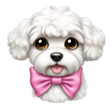 Schichon puppy pink bow  sticker