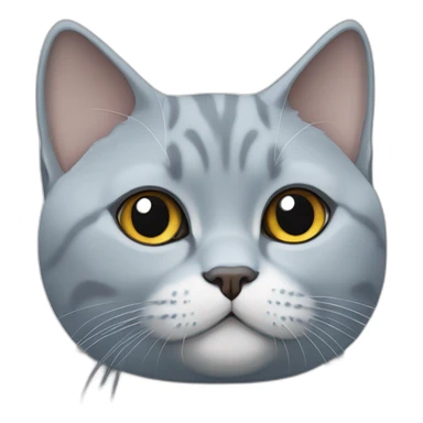 Blue and white British shorthair cat sticker