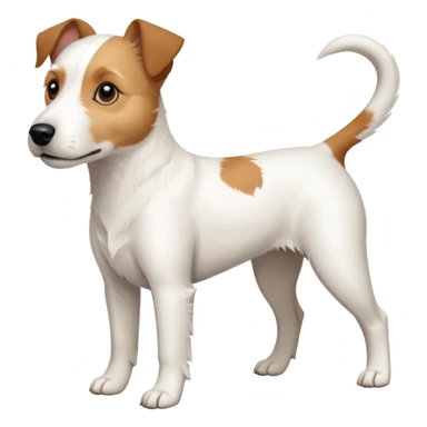 a full body slightly chubby white parson russell terrier looking dog the size of a kelpie with light brown long ears and a light brown patch on one eye and a large snout. the rest of the dog is completely whiteforward facing sticker