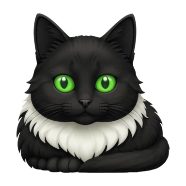 Black cat with white chest sticker
