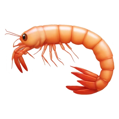 A shrimp with human face sticker