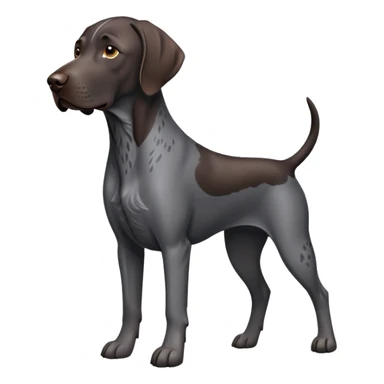 Black roan German shorthaired pointer sticker