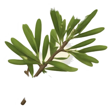 Olive branch  sticker