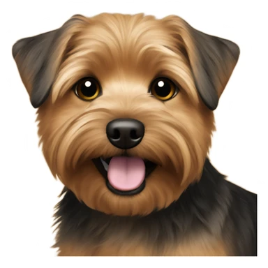 Brown black Norfolk terrier sticker