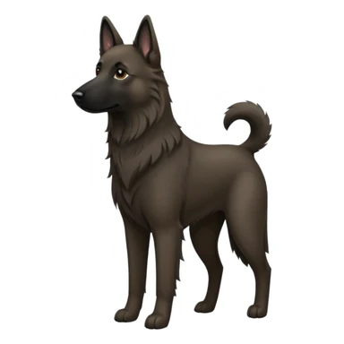 pastore belga sticker