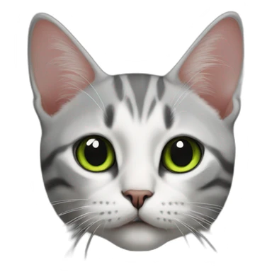 Cat the color of the Palestinian flag sticker