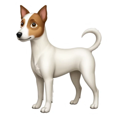 a full body large white parson russell looking dog the size of a kelpie with light brown ears and a light brown patch on one eye and a large snout sticker