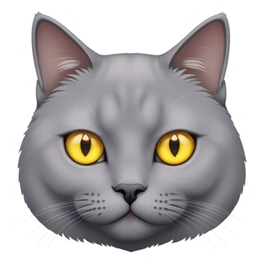 grey British cat with yellow eyes sticker