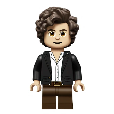 HARRY STYLES lego full body sticker