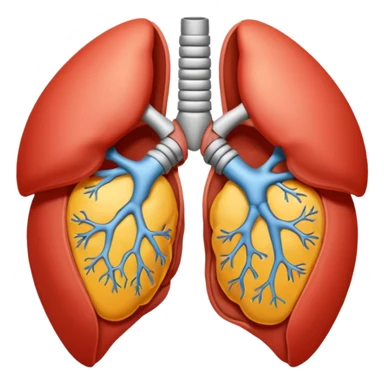 splanchnology sticker