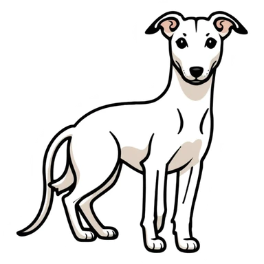Black Greyhound  sticker