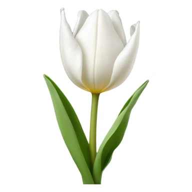 white tulip sticker