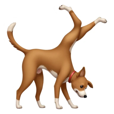 Dog doing handstand sticker