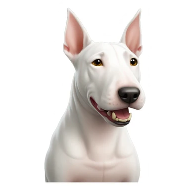 Bull terrier with sd9 sticker