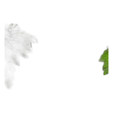 mimosa hostilis root bark sticker