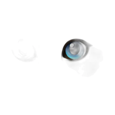 Himalayan Cat blue eyes sticker