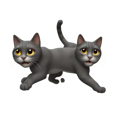 Two cat in Rocky movie poster sticker