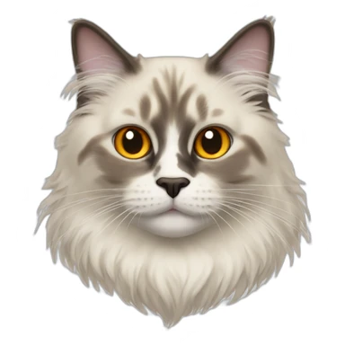 Flamepoint ragdoll cat head sticker