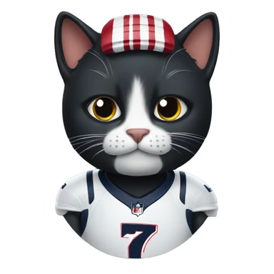 black cat wearing New England Patriots Jersey sticker
