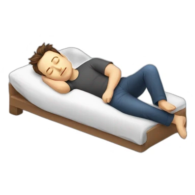 Elon musk sleeping sticker