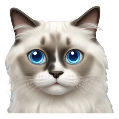 ragdoll cat with blue eyes sticker