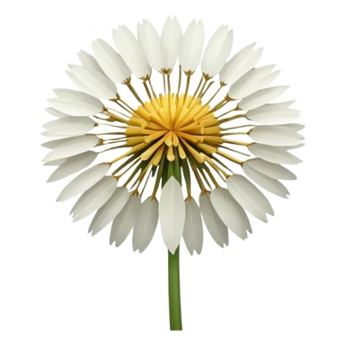 Dandelion flower emoji in white colour looks aesthetic  sticker